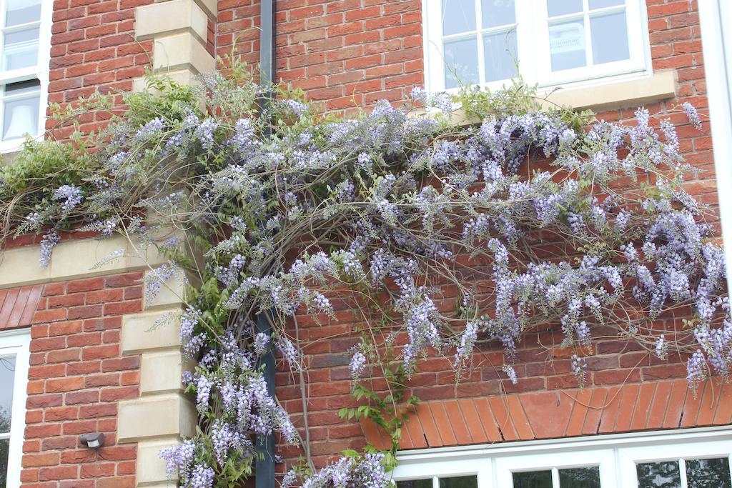 Austons Down Farm B&B Claverdon Exterior foto